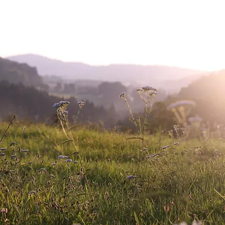 Pensjonat Statek Malcany 3*